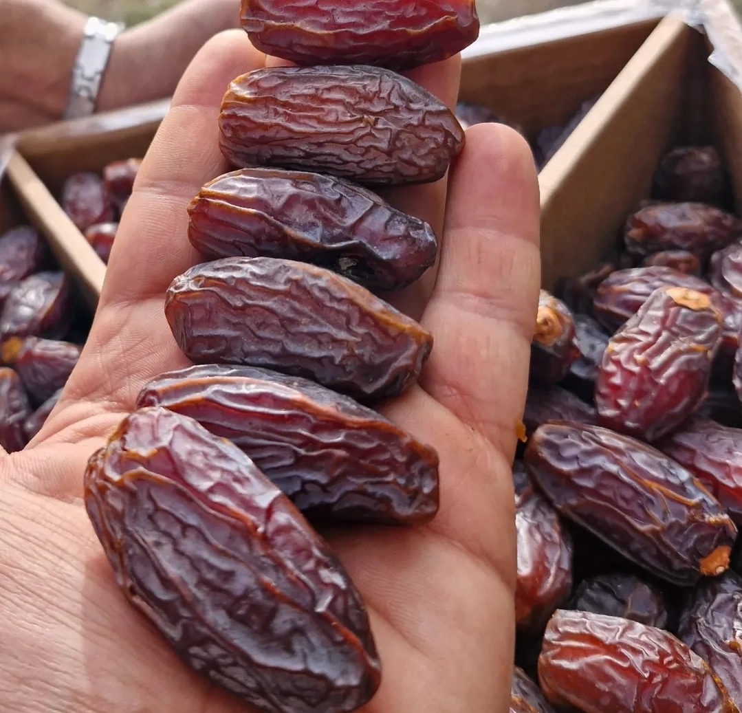 خرما
